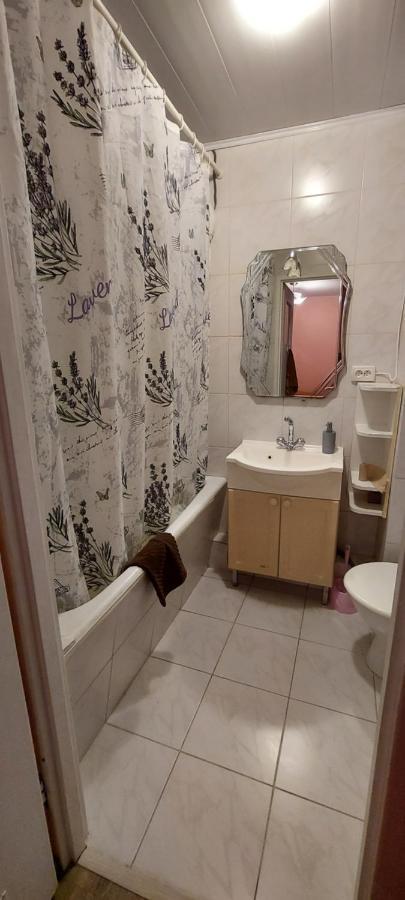 Nice Apartment Kiev Bagian luar foto